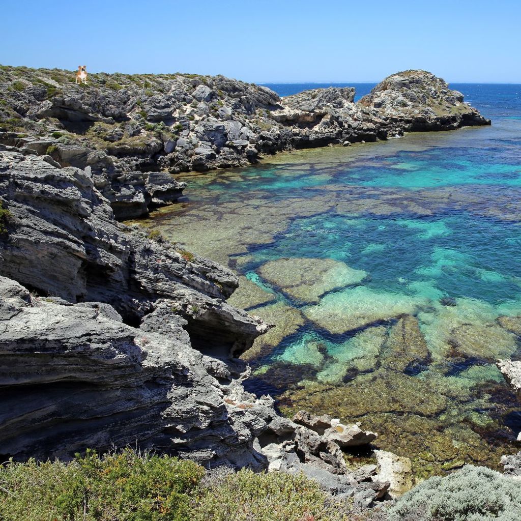 ocean water pools in blues and greens against the rocky shore