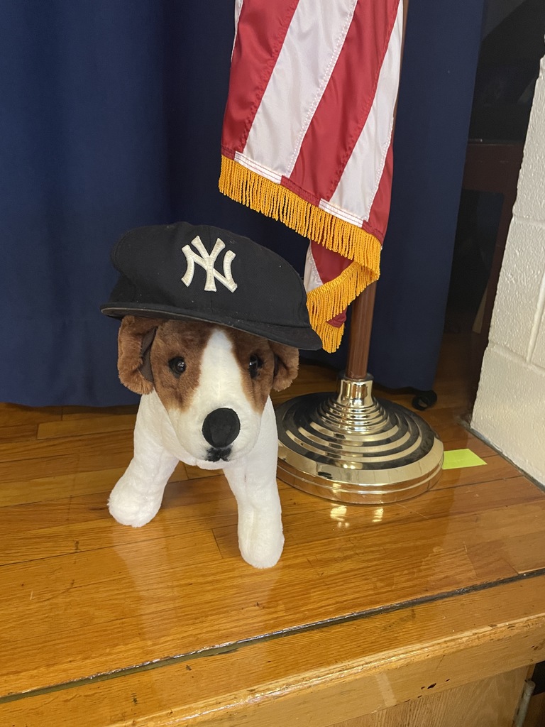 A stuffed dog toy wearing a Yankees baseball cap sits next to an American Flag